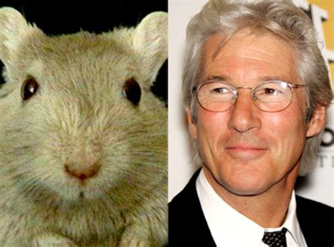 richard gere gerbilling